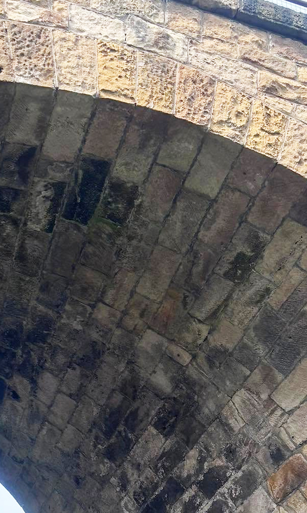 General view of the Chirajara Bridge